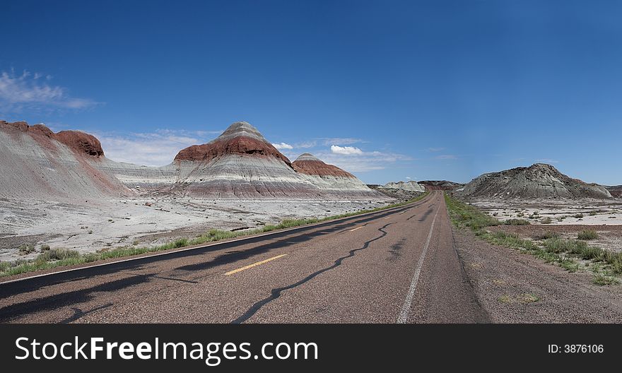 Petrified forest national park in arizona