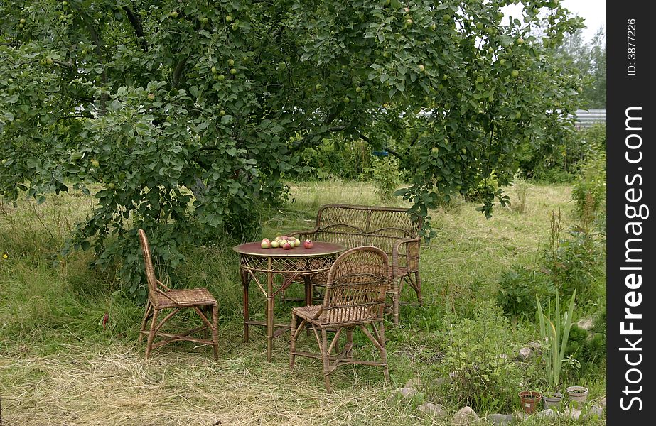 The table under apple garden