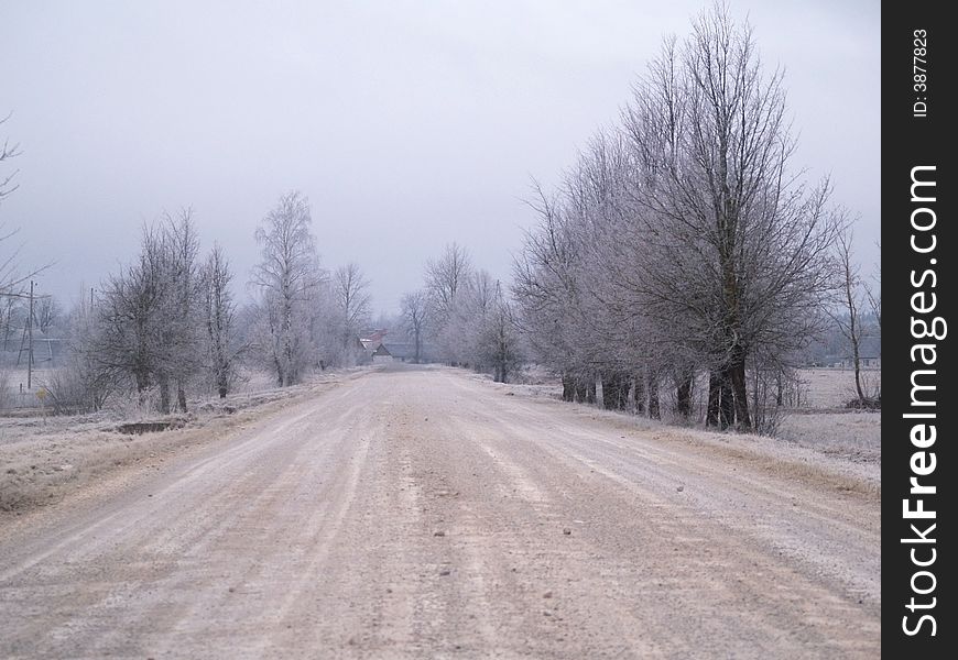 Farm track in frozen winter. Farm track in frozen winter