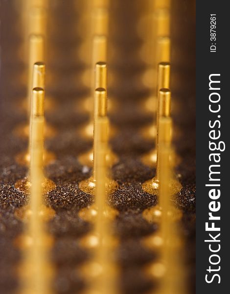 Extreme macro of microprocessor pins, differential focus. Extreme macro of microprocessor pins, differential focus