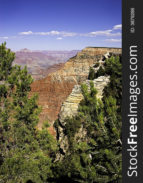 Spectacular view of the Grand Canyon framed by trees. Spectacular view of the Grand Canyon framed by trees