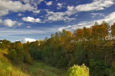 Yellow And Green Autumnal Trees Royalty Free Stock Image Yellow And Green Autumnal Trees Royalty Free Stock Image