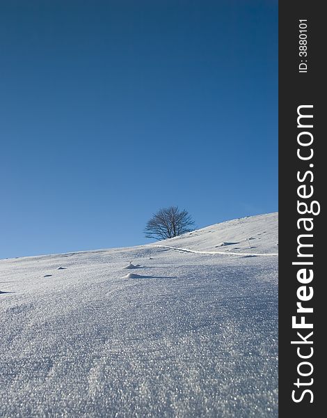 Landscape of mountain snow-covered in the brown