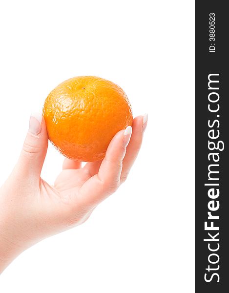 Womans Hand Holding A Mandarin