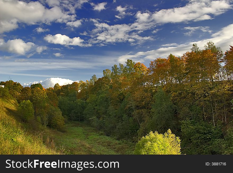 Yellow and green autumnal trees and blue sky with clouds