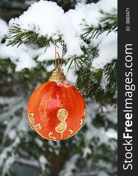 Red Christmas Ball on Pine Branch