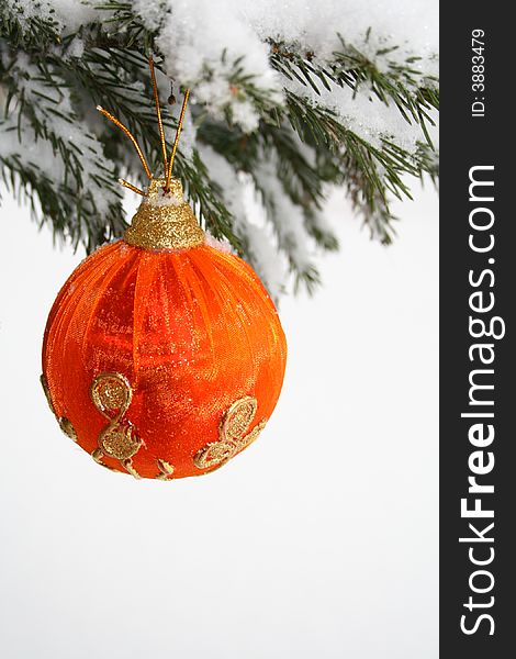 Red Christmas Ball on Pine Branch isolated