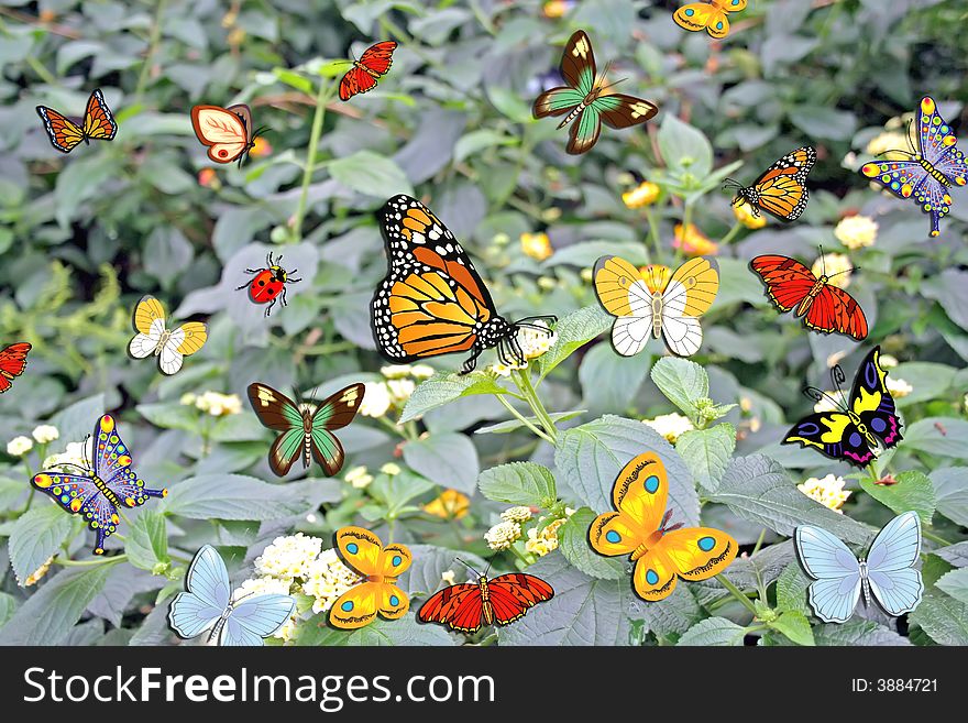 Butterfly and flowers in a background. Butterfly and flowers in a background.