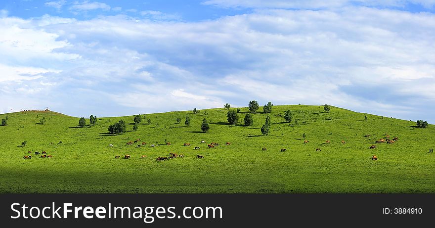 The landscapes is in the BaShang Grassland of Inner Mongolia of China. The landscapes is in the BaShang Grassland of Inner Mongolia of China