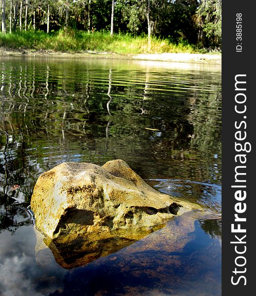 A bolder resting in an old Florida river at fish eating Creek. A bolder resting in an old Florida river at fish eating Creek.