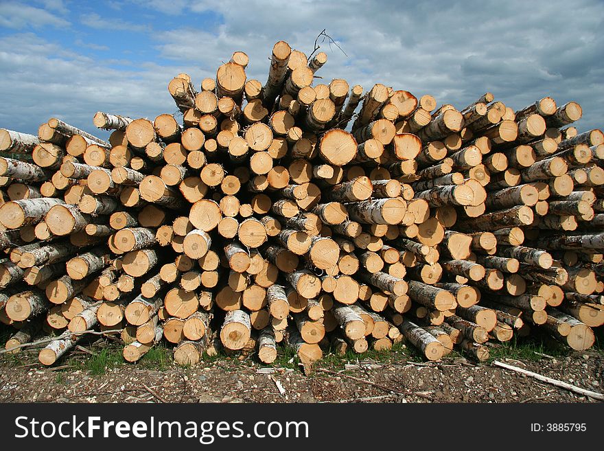 Lumber harvest in russian province, Russia. Lumber harvest in russian province, Russia