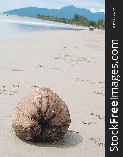 A coconut at the beach with mountain and sea as background. A coconut at the beach with mountain and sea as background.