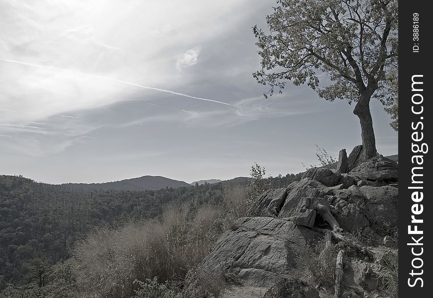 A  lightly toned black and white photograph of a lone tree on a rocky cliff overlooks Shenandoah National Park along Skyline Drive. A  lightly toned black and white photograph of a lone tree on a rocky cliff overlooks Shenandoah National Park along Skyline Drive.