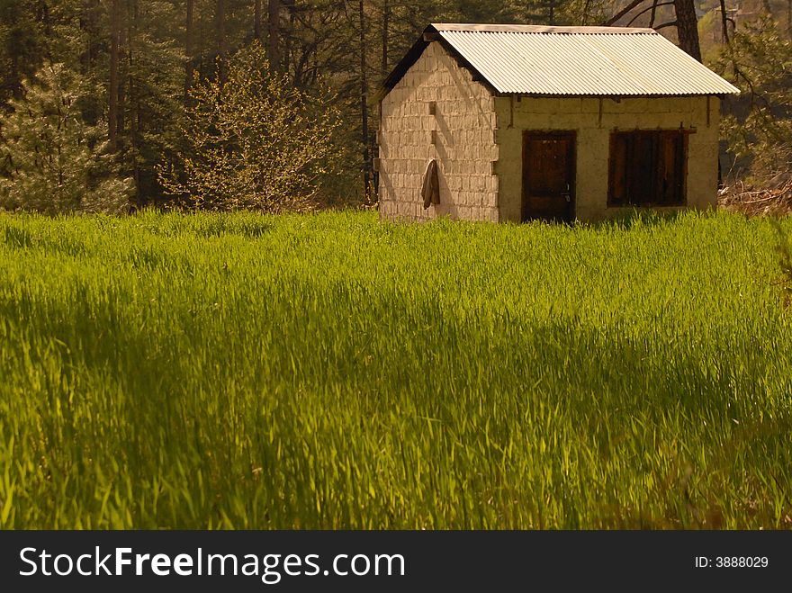 A small house in a rice fiels. A small house in a rice fiels.