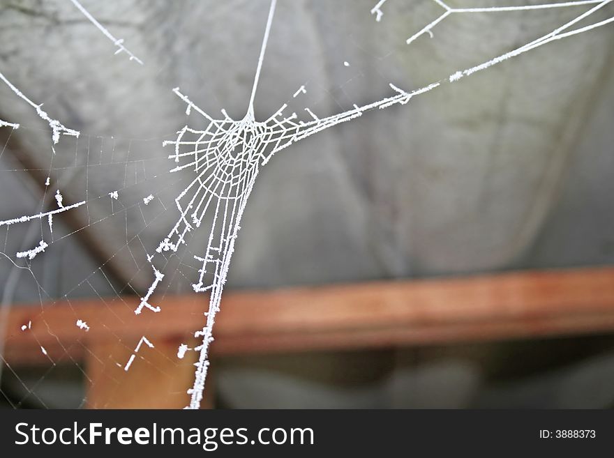 Spiderweb under a old shed on a cold day. Spiderweb under a old shed on a cold day