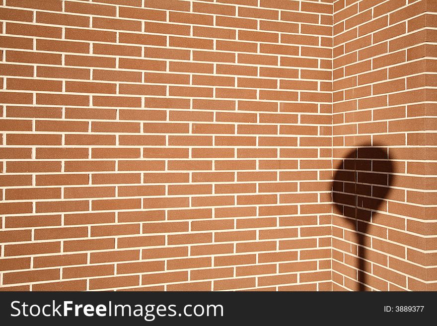 Lamppost shadow on a plain red brick wall