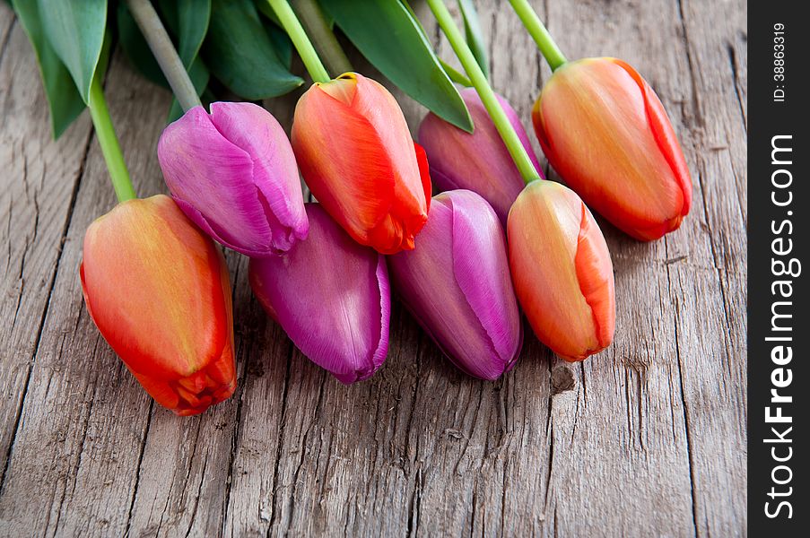 Beautiful tulips on a wooden background