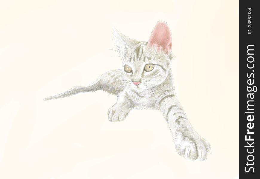 Illustration  of relaxing young cat
