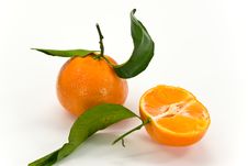 A Fresh Tangerine - Close Up Stock Photography A Fresh Tangerine - Close Up Stock Photography
