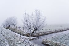 Winter Scene Royalty Free Stock Photography Winter Scene Royalty Free Stock Photography