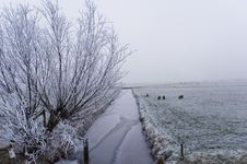 Winter Scene Stock Image Winter Scene Stock Image