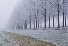 Winter Scene Stock Images Winter Scene Stock Images