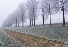 Winter Scene Stock Photos Winter Scene Stock Photos