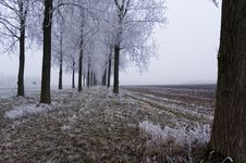 Winter Scene Stock Photography Winter Scene Stock Photography