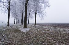 Winter Scene Stock Images Winter Scene Stock Images
