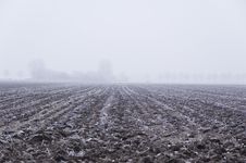 Winter Scene Royalty Free Stock Image Winter Scene Royalty Free Stock Image