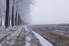 Winter Scene Royalty Free Stock Photography Winter Scene Royalty Free Stock Photography