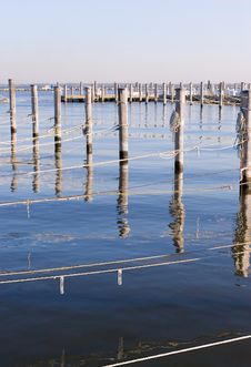 Wooded Dock Poles And Ropes. Vertical Royalty Free Stock Photo Wooded Dock Poles And Ropes. Vertical Royalty Free Stock Photo