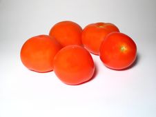 Tomatos Royalty Free Stock Images