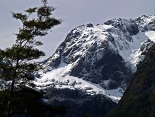 Milford Sound Stock Images Milford Sound Stock Images