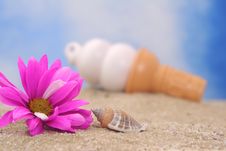 Flower And Sea Shell With Ice Cream Stock Photo Flower And Sea Shell With Ice Cream Stock Photo