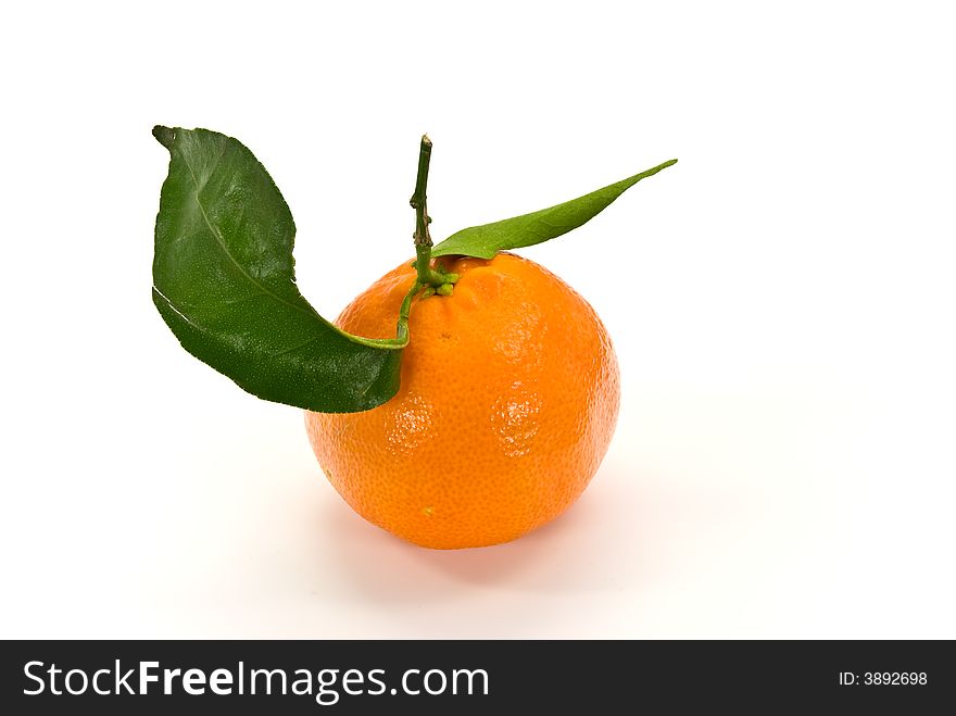 A Fresh Tangerine - Close Up