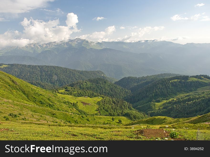 Green meadow in mountains in summer