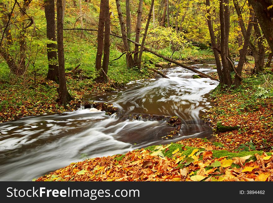 River amongst autumn trees