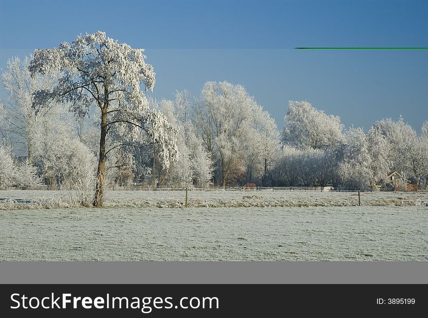 Ice covered field under clear sky. Ice covered field under clear sky