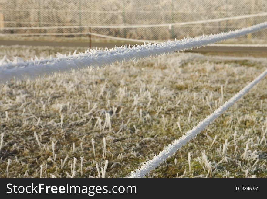 Paddock fence for horses in winter with hoar around as a closeup image. Paddock fence for horses in winter with hoar around as a closeup image