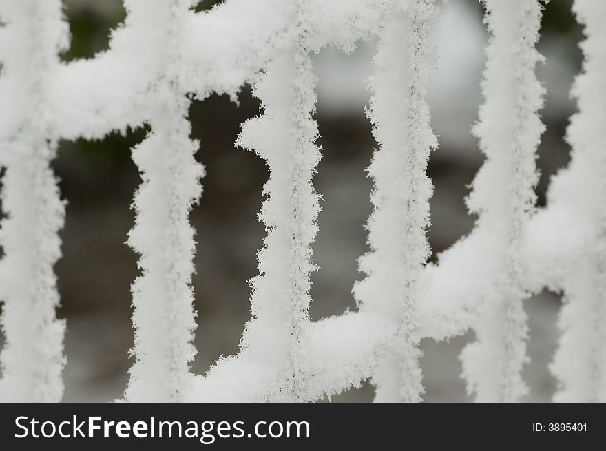 Snowy Fence