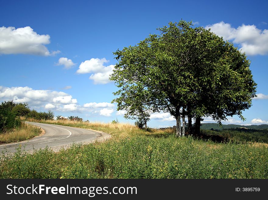 Road leads to mountain near tree under the blue cloudy sky. Road leads to mountain near tree under the blue cloudy sky