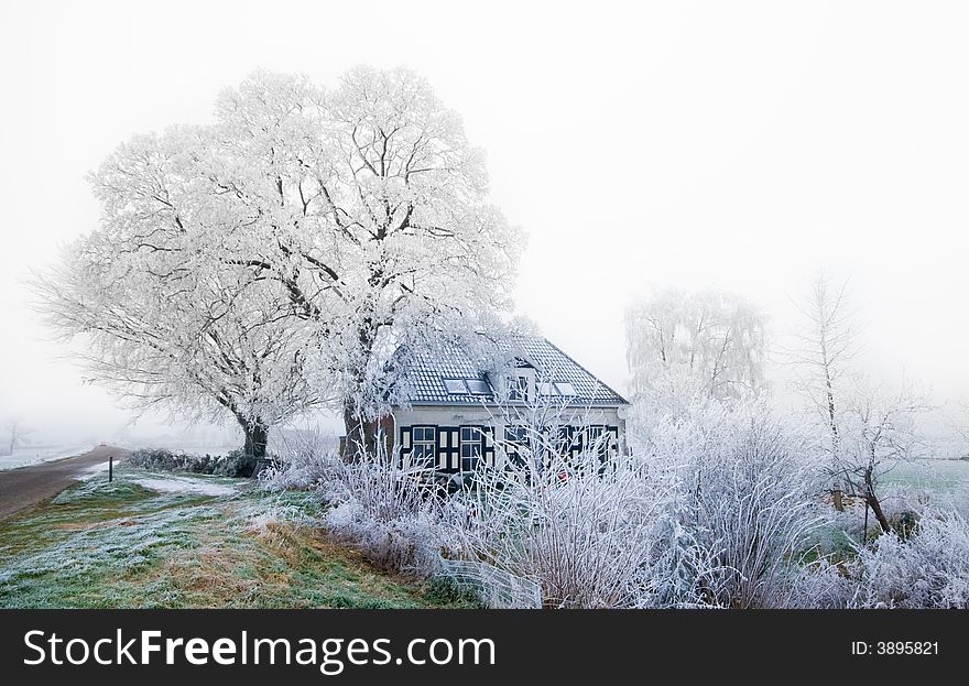 Small dutch house surrounded by frozen trees in winter. Small dutch house surrounded by frozen trees in winter