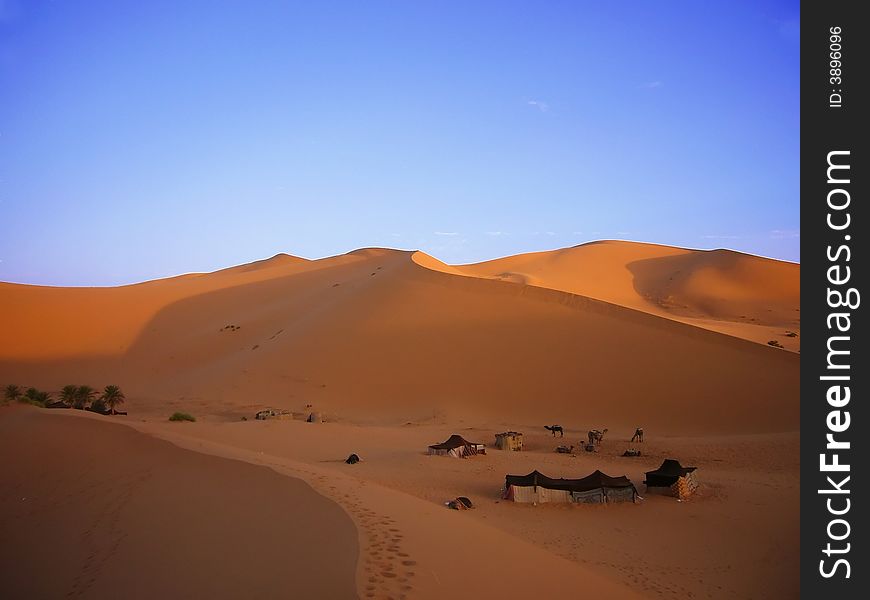 The yellow desert with blue sky