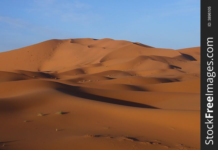 The yellow desert with blue sky