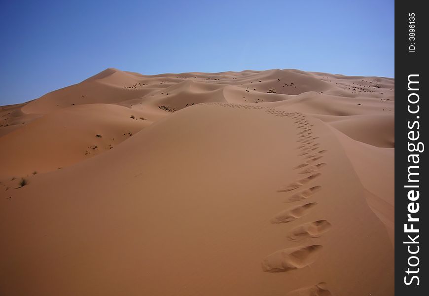 The yellow desert with blue sky. The yellow desert with blue sky