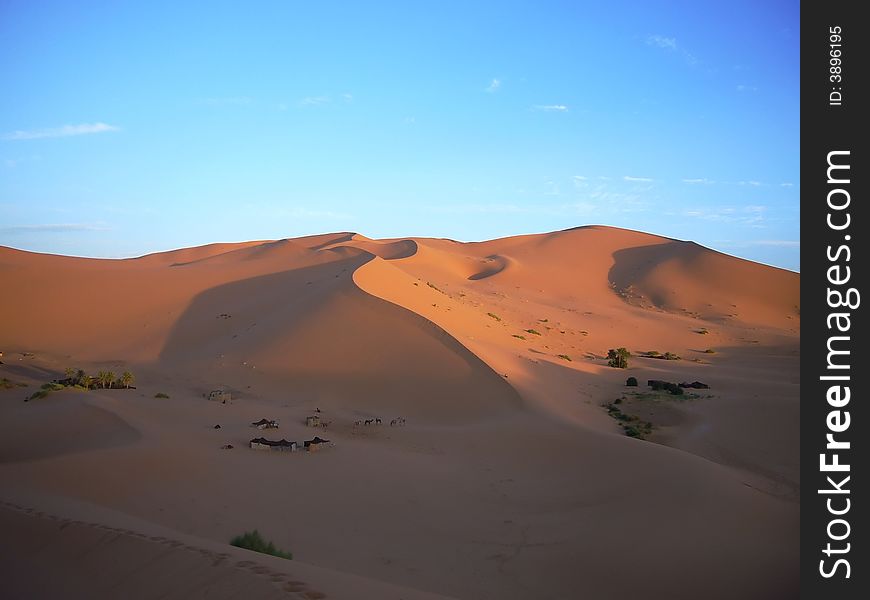 The yellow desert with blue sky