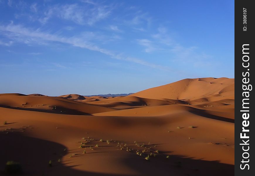 The yellow desert with blue sky