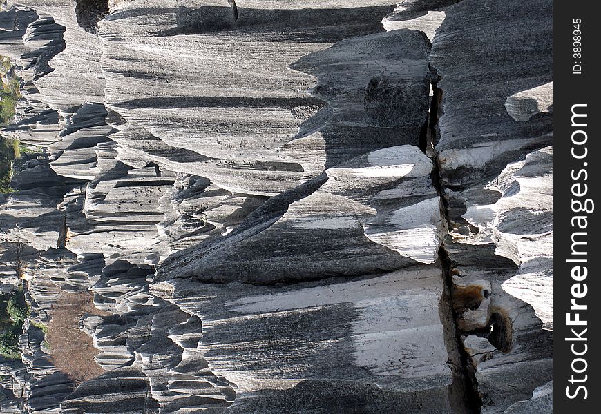 Stone Forest