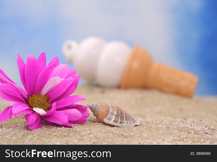 Flower and Sea Shell on Sand With Ice Cream Cone, Shallow DOF. Flower and Sea Shell on Sand With Ice Cream Cone, Shallow DOF